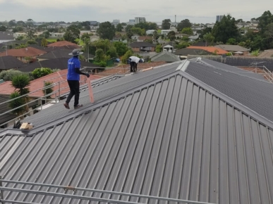 WhatsApp Image 2023-04-29 at 9.55.00 AM